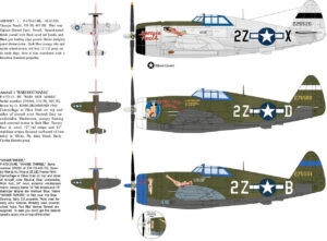 P-47D THUNDERBOLT RAZORBACK 1/48 LIMITED EDITION (2025 IPMS USA NATIONALS EDITION)